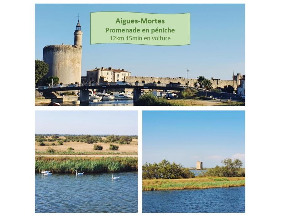 L'Olympe Vue Lac Parking Clim Wifi - Rossiconciergerie - Linge Inclus Ла-Гранд-Мот Экстерьер фото